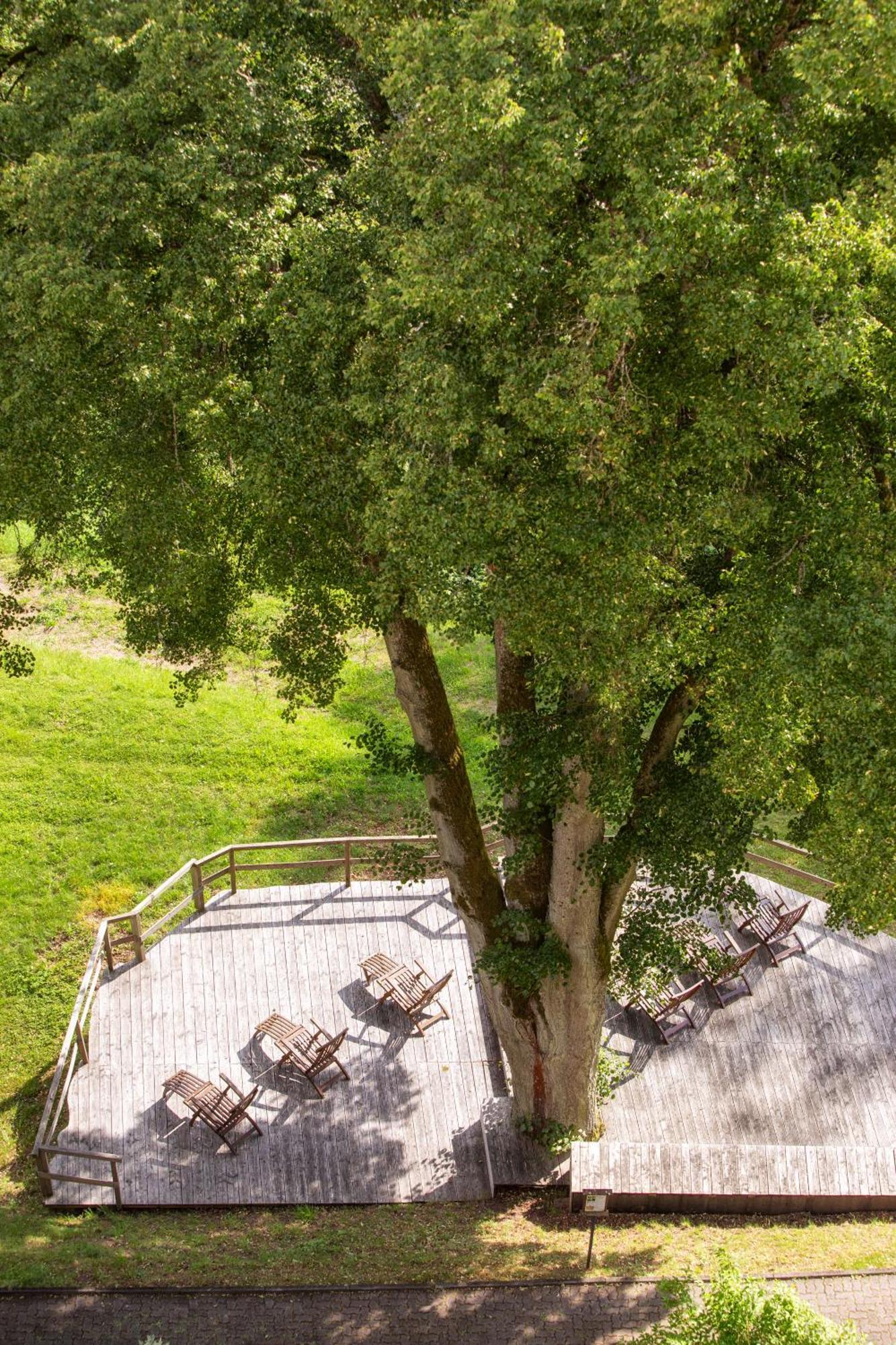 Roomingtons Hotel Franziskushoehe Lohr מראה חיצוני תמונה