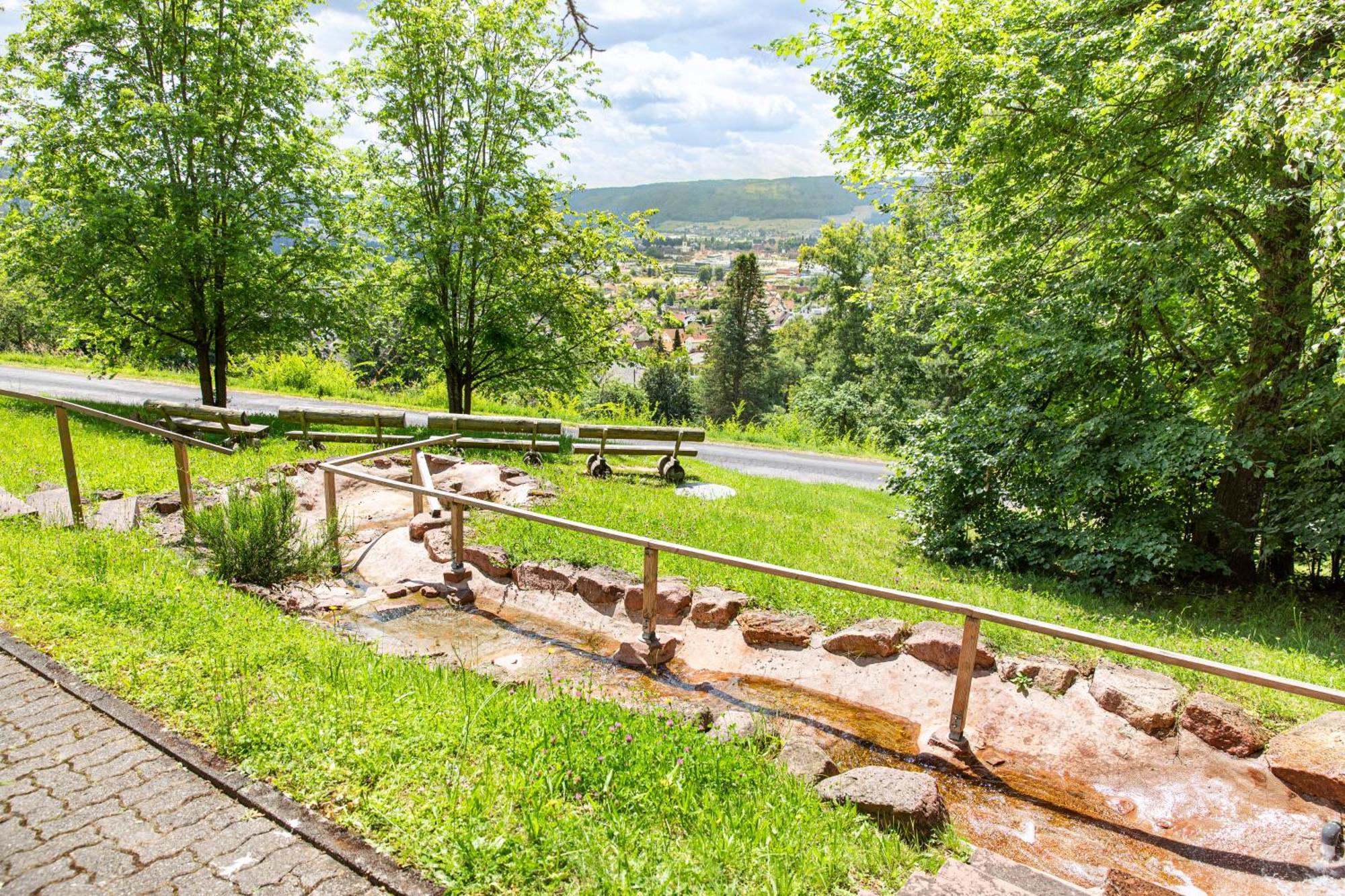 Roomingtons Hotel Franziskushoehe Lohr מראה חיצוני תמונה